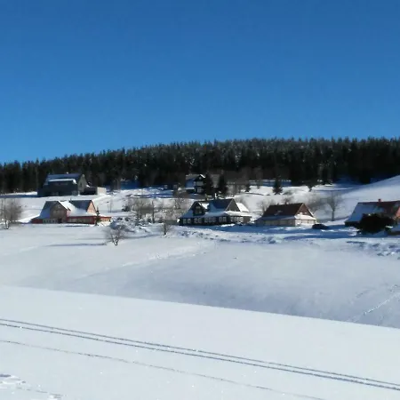 Barborka 05 Daire *